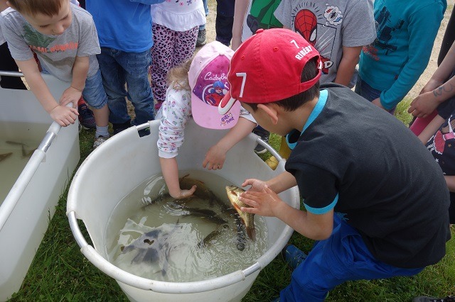Die Kinder erfahren etwas über Fische und ihren Lebensraum