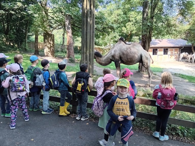Vorschulausflug in den Tiergarten nach Straubing