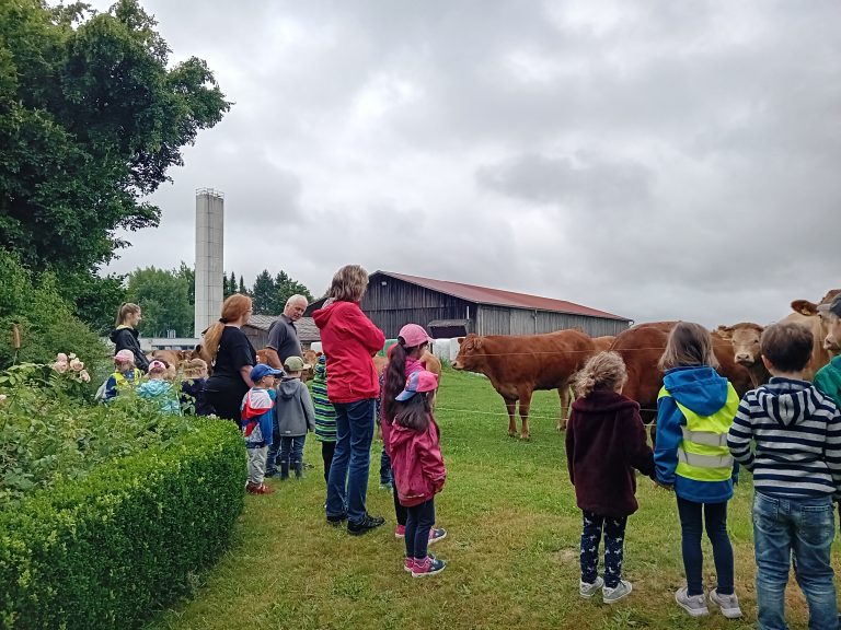 Die Katzengruppe besucht den Bio-Bauernhof der Familie Rossmann