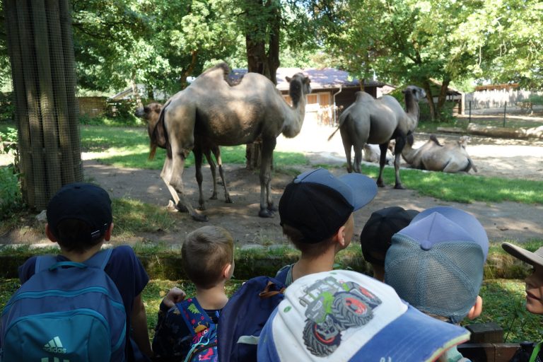Vorschulausflug in den Tiergarten nach Straubing