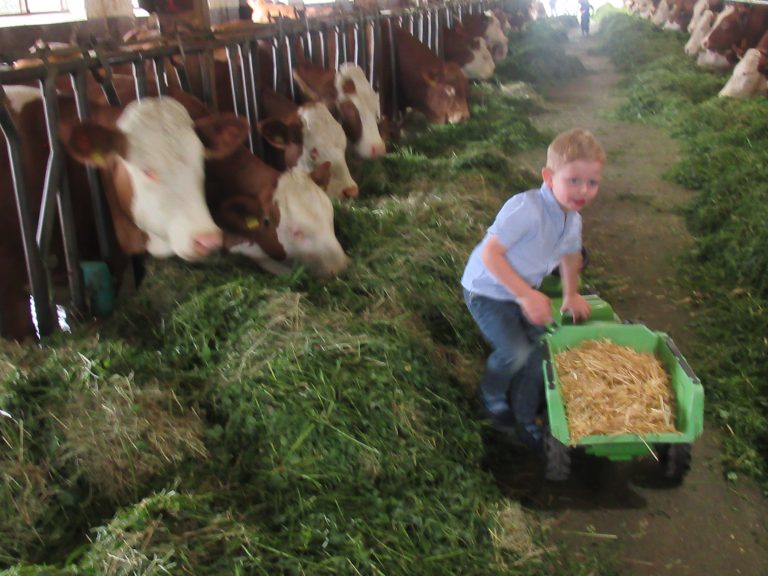 Wir machen unseren Familienausflug auf den Bauernhof der Familie Hösl nach Hof.