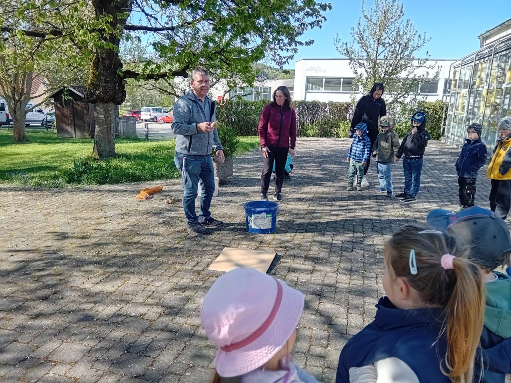 Kartoffel pflanzen mit Herr Elsner