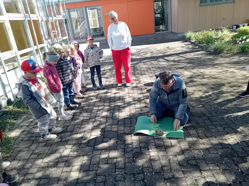 Frau und Herr Elsner erklärten uns einiges über die Kartoffel.